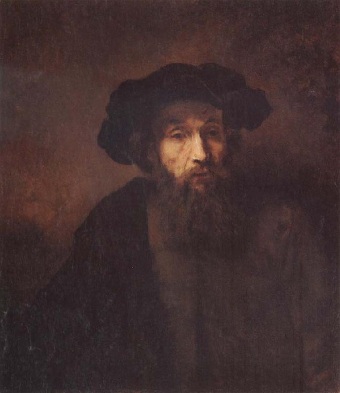 REMBRANDT Harmenszoon van Rijn A Bearded Man in a Cap oil painting image
